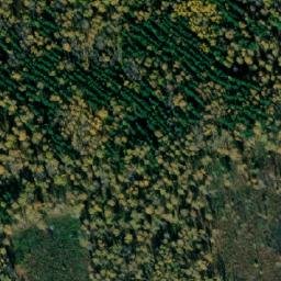Satellite imagery of Чаща, KZ