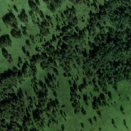 Satellite imagery of Сухой, RU
