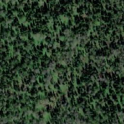 Satellite imagery of Лесхоз Кайзасский, KZ