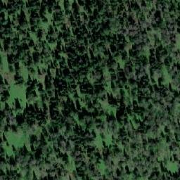 Satellite imagery of Лесхоз Кайзасский, KZ