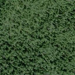 Satellite imagery of Diamond Point, US