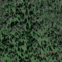 Satellite imagery of Лесхоз Кайзасский, KZ