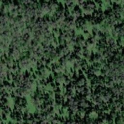 Satellite imagery of Лесхоз Кайзасский, KZ