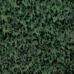 Satellite imagery of Лесхоз Кайзасский, KZ