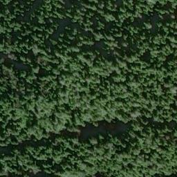 Satellite imagery of Point San Leonardo, US