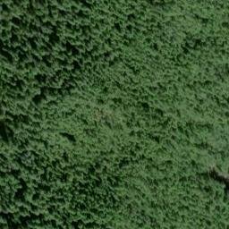 Satellite imagery of Punta Maria Antonia, US