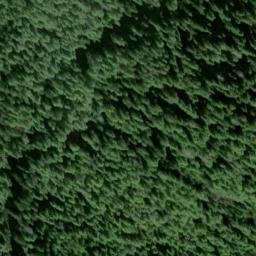 Satellite imagery of Punta Palmito, US