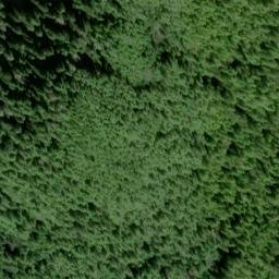 Satellite imagery of Punta Palmito, US