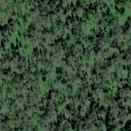 Satellite imagery of Лесхоз Кайзасский, KZ