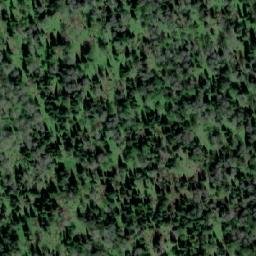 Satellite imagery of Лесхоз Кайзасский, KZ
