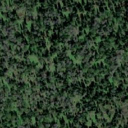 Satellite imagery of Лесхоз Кайзасский, KZ