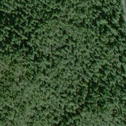 Satellite imagery of Canal Point, US