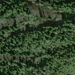 Satellite imagery of Point San Leonardo, US