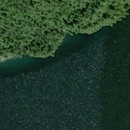 Satellite imagery of Punta Palmito, US