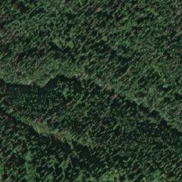 Satellite imagery of Pine Pass, CA