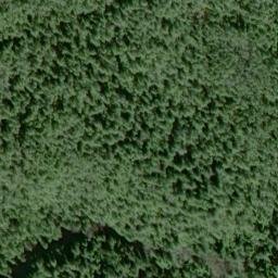 Satellite imagery of Canal Point, US