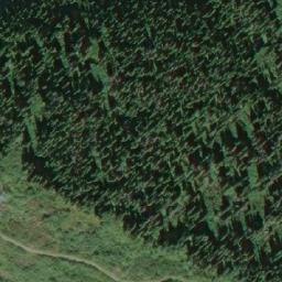 Satellite imagery of Pine Pass, CA