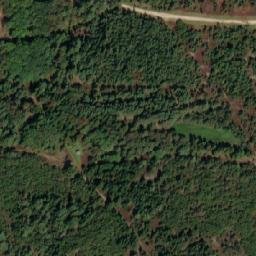Satellite imagery of Præstbjerg, DK