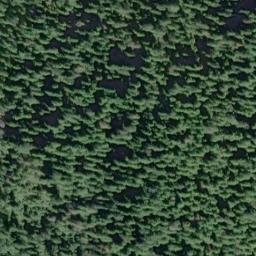 Satellite imagery of Pop Point, US