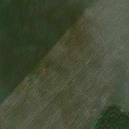 Satellite imagery of Дедюево, KZ