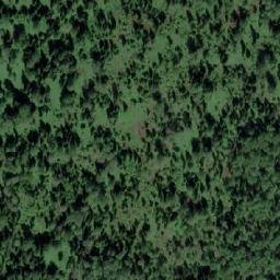Satellite imagery of Урочище Туголуковский, KZ