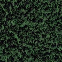 Satellite imagery of Урочище Туголуковский, KZ