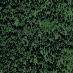 Satellite imagery of Урочище Туголуковский, KZ