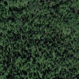 Satellite imagery of Урочище Туголуковский, KZ