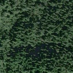 Satellite imagery of Wasp Point, US