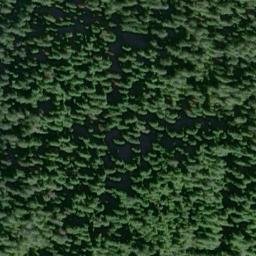 Satellite imagery of Wasp Point, US