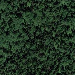 Satellite imagery of Урочище Туголуковский, KZ