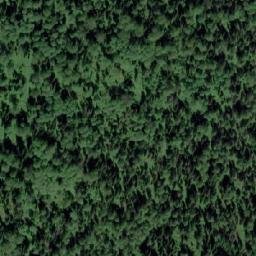 Satellite imagery of Урочище Туголуковский, KZ