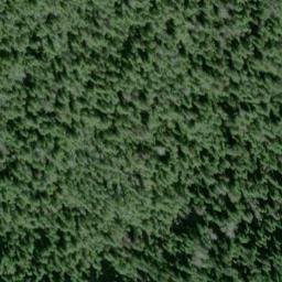 Satellite imagery of Point Caracol, US
