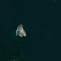 Satellite imagery of South Vallenar Point, US