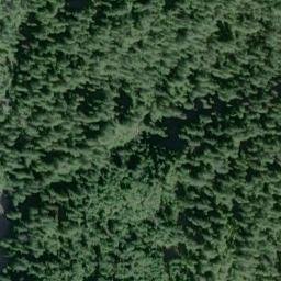 Satellite imagery of Wasp Point, US