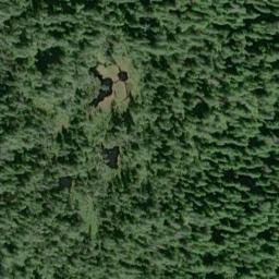Satellite imagery of Wasp Point, US