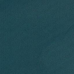 Satellite imagery of Williams Point, CA