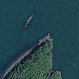 Satellite imagery of Williams Point, CA