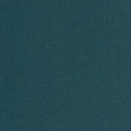 Satellite imagery of Williams Point, CA