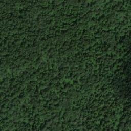 Satellite imagery of Федотовка, KZ
