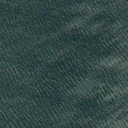 Satellite imagery of Point San Roque, US
