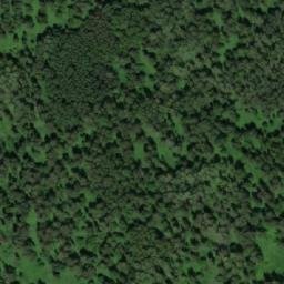 Satellite imagery of Кокуй, KZ