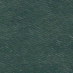 Satellite imagery of Point Remedios, US