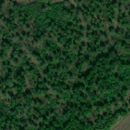 Satellite imagery of Малые Топки, KZ