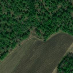 Satellite imagery of Малые Топки, KZ