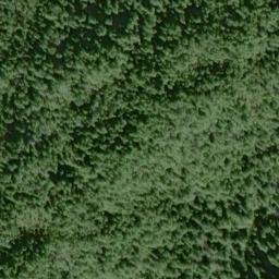 Satellite imagery of Point Remedios, US