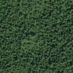 Satellite imagery of Point Trollop, US