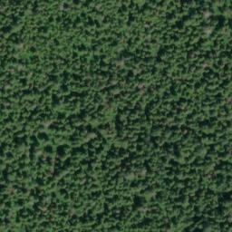 Satellite imagery of Point Trollop, US