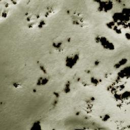 Satellite imagery of Takla Range, CA