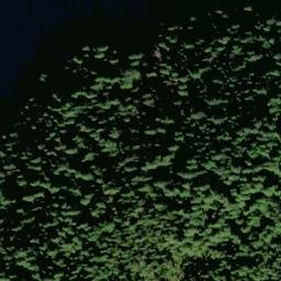 Satellite imagery of Point Nelson, US